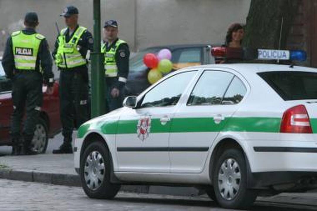 Vaikams patarimus dalija šuniukas Amsis