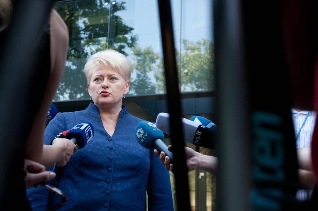 Prezidentės susitikimą su Norvegijos karaliumi sutrikdė signalizacija