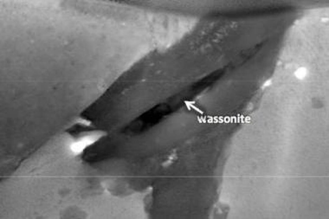 4,5 mlrd. metų senumo meteorite aptiktas nežinomas mineralas