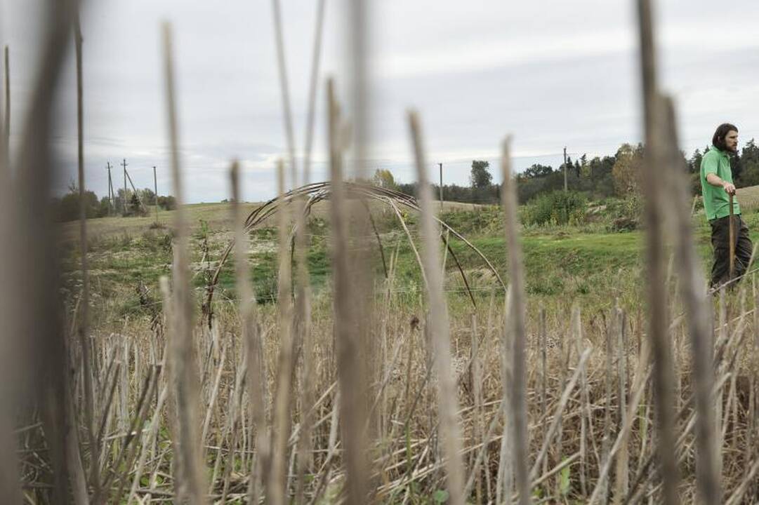 Rokiškio rajone pavogtas senas vandens bokštas