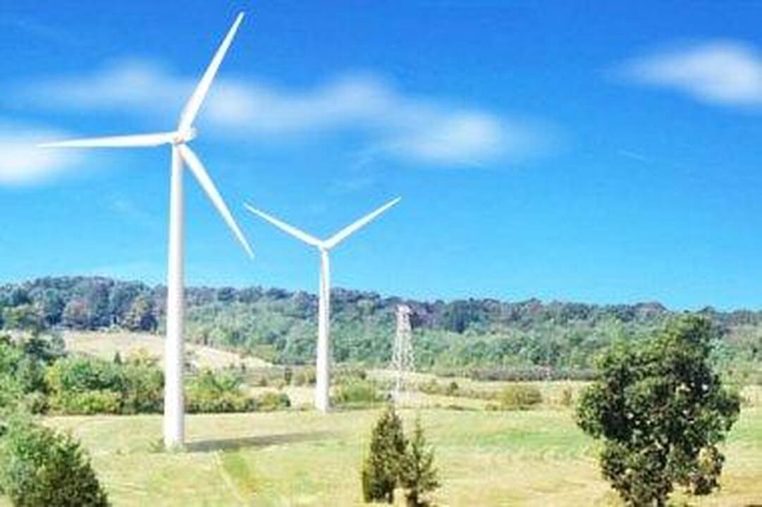Vėjo elektrinės kainą pasakys internete