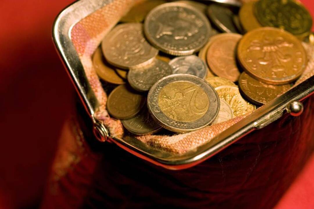 Auditoriai sukritikavo milijoninius VPU ir VGTU pirkimus ne pagal įstatymus