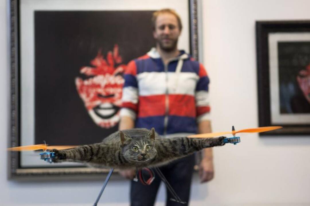 Žuvusį katiną sraigtasparniu pavertęs menininkas sukrėtė pasaulį