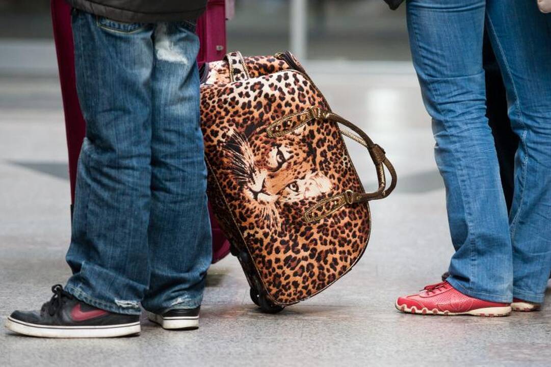 Čekas į lėktuvą bandė įsinešti 247 gyvūnus