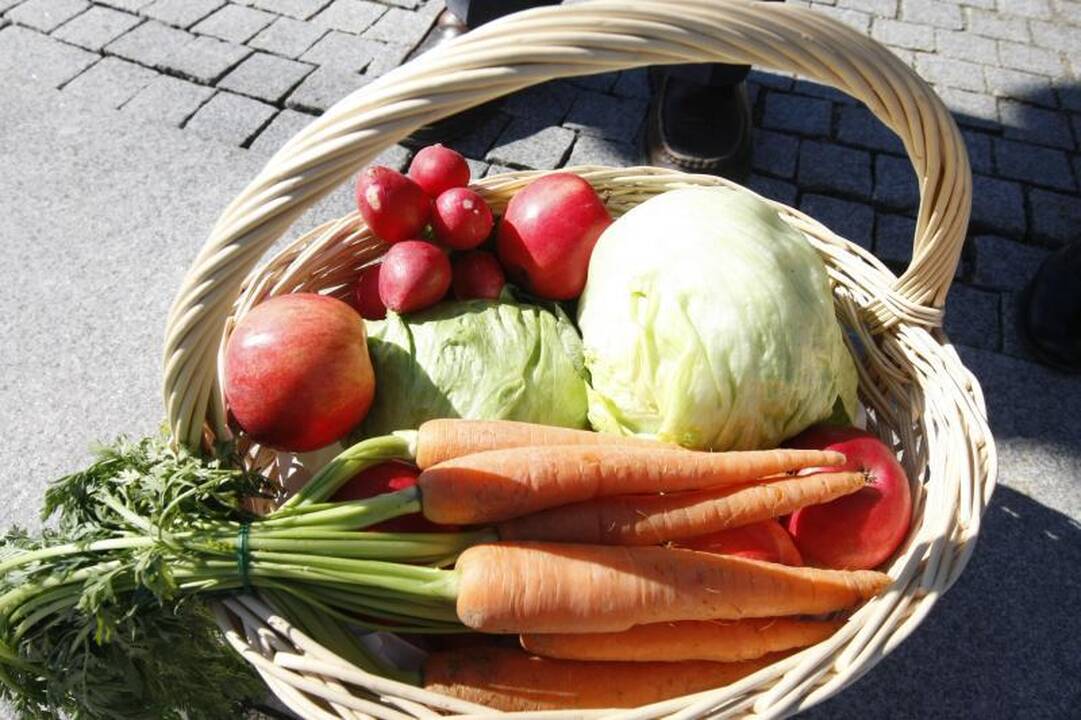 Danės krantinėje - sveikatingumo šventė   