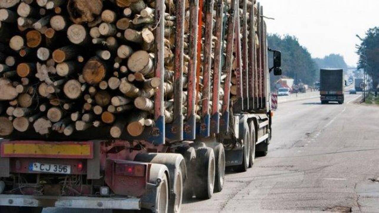 Medienos perdirbėjai sufleruoja, kaip užsidirbti papildomą milijardą