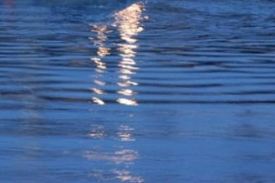 Saugomos neršiančios lydekos