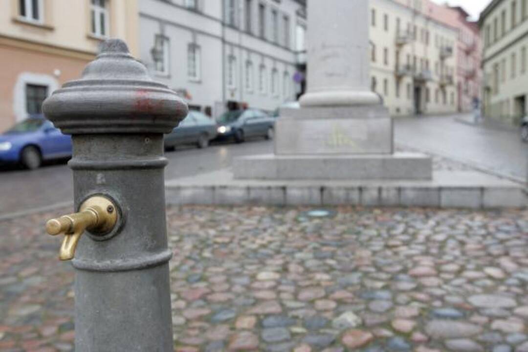 Paminklus Vilniuje išniekinęs jaunuolis kalbėjo apie pasaulinį sąmokslą