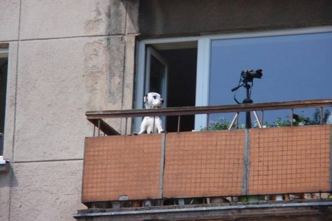 Ką daryti, jei kaimynas balkone šašlykus kepa?