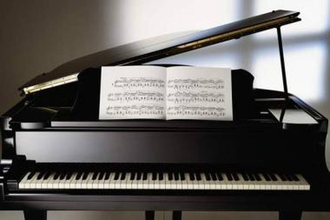 Jaunieji muzikos profesionalai  kviečia į koncertą