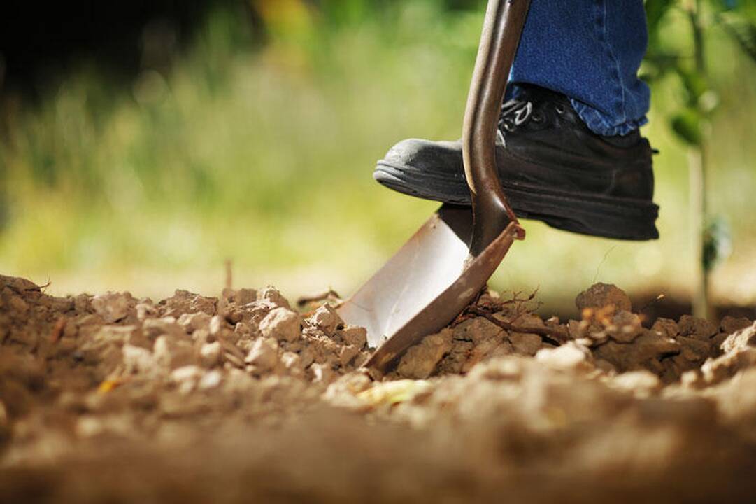 Už nelegalų talkininkų darbą – tūkstantinės baudos