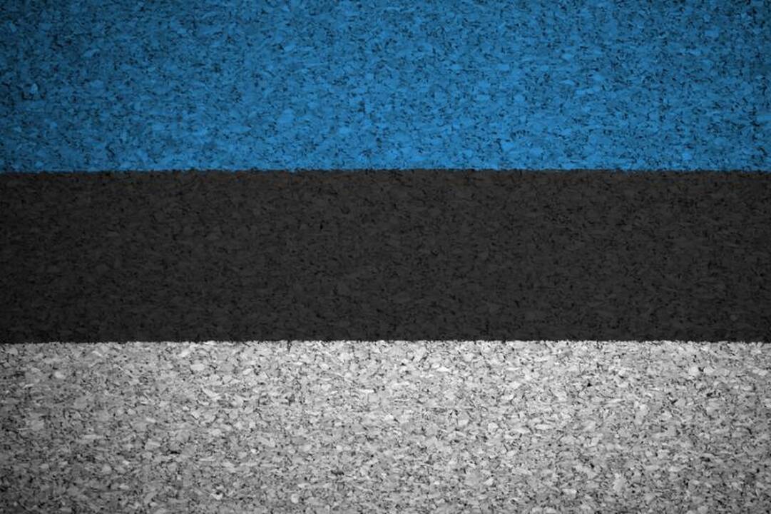 Sulaikytas vyras, planavęs įvežti į Š. Korėją masinio naikinimo ginklų