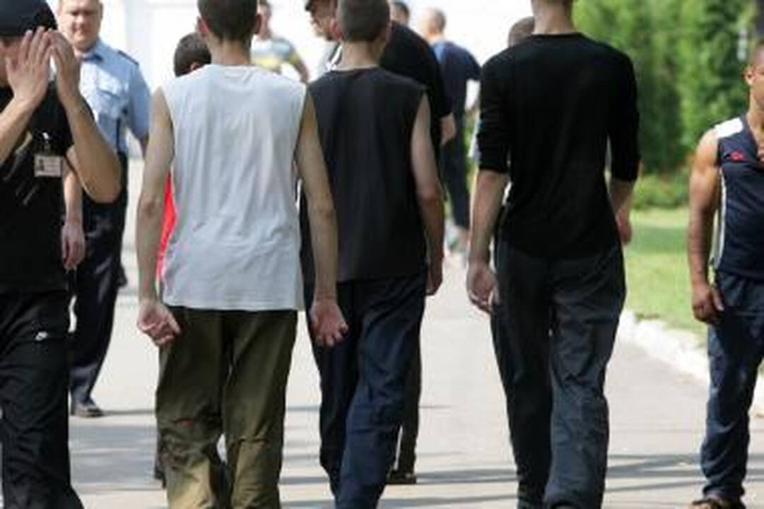Nuteistasis: išpuolius zonoje sukelia patys prižiūrėtojai (interviu)