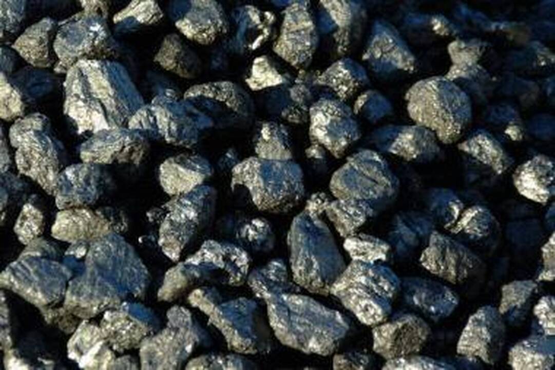 Kauno rajono darželiai ir mokyklos apsirūpino anglimi 