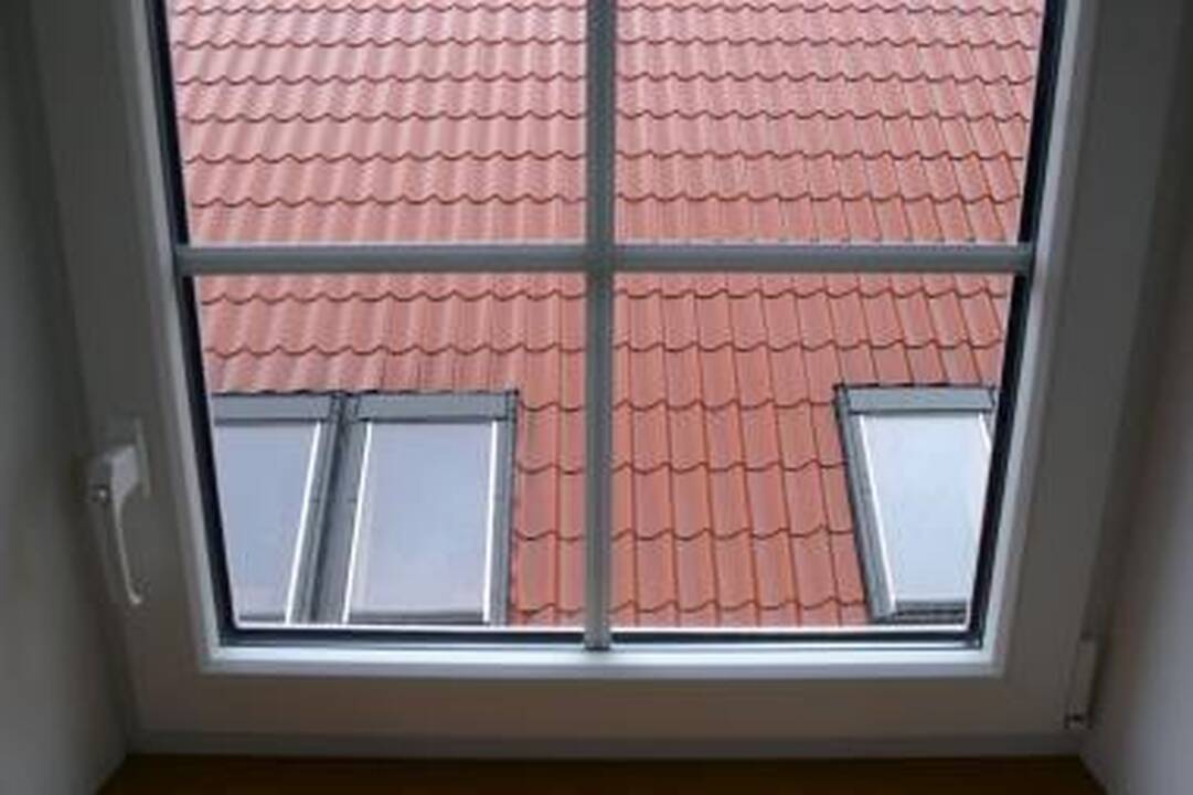 Įnoringas užsakovas šokdino langų gamintojus