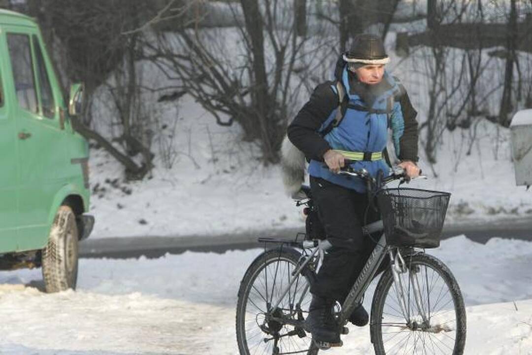 Ar kauniečiams šaltis nebaisus?