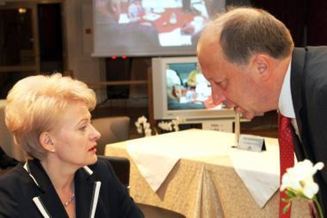 Reitingų lyderė - D.Grybauskaitė, A.Kubilius - antras