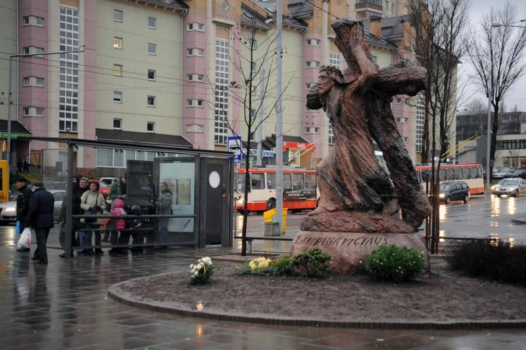 Balsavimas: išrink žaviausią 2011-ųjų nėštukę