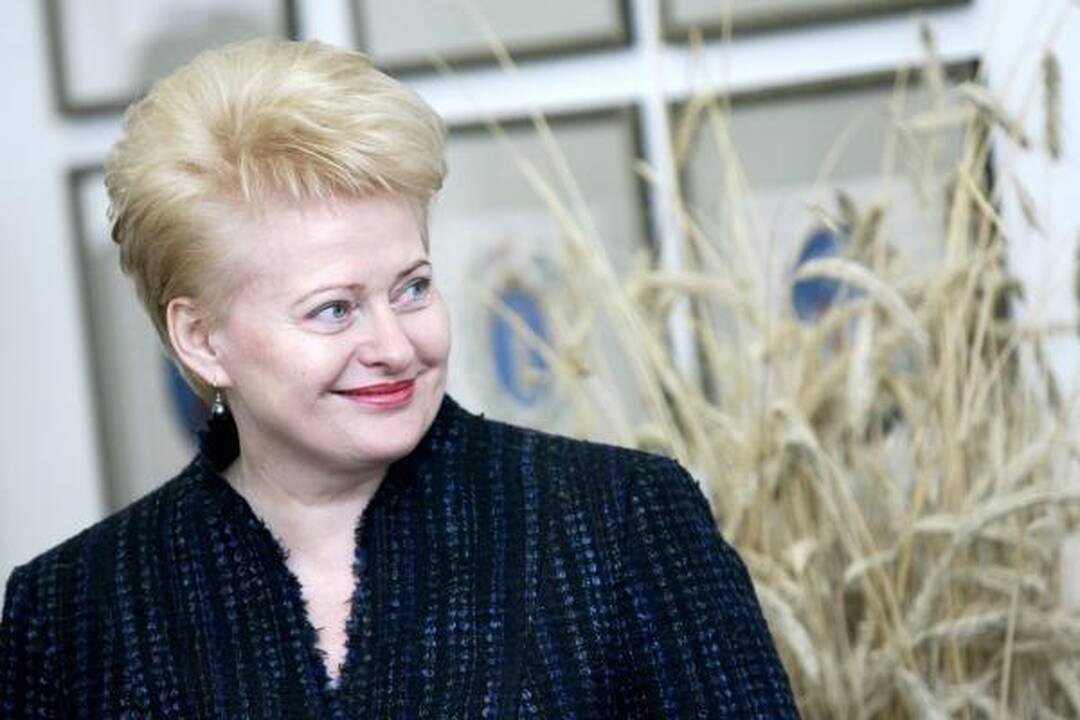 Prezidentė vetavo ir Seimui grąžino Miškų įstatymą