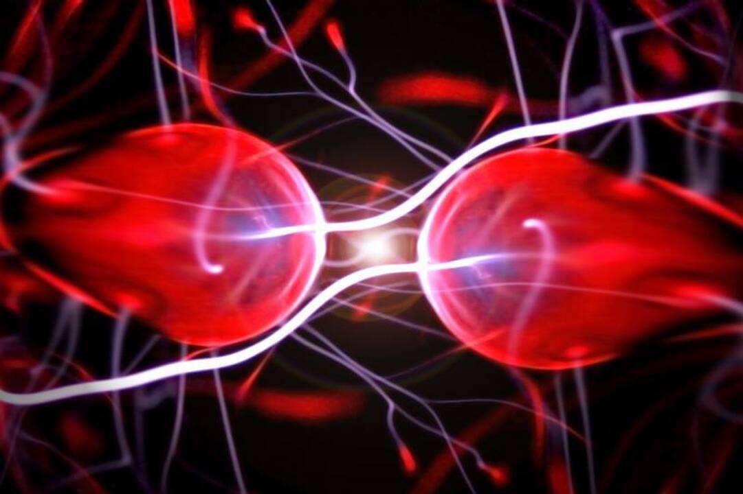 CERN planuoja statyti dar didesnį greitintuvą