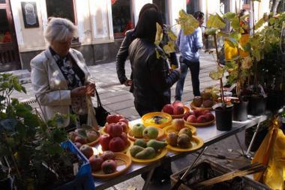 Kaunas kviečia į Rudens gėrybių ir amatų mugę (programa)