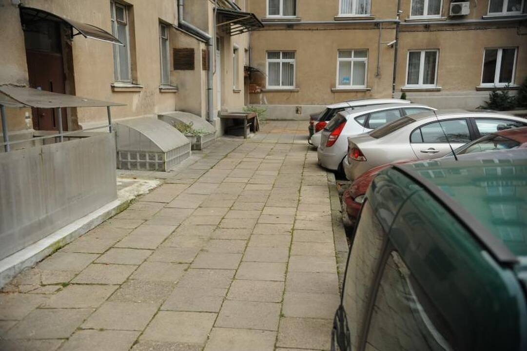 Liudininkai: žūties išvakarėse A. Kaušpėdaitė elgėsi keistai