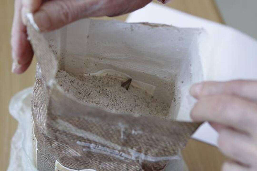 Namus puolančios kandys - ar įmanoma jų atsikratyti? 
