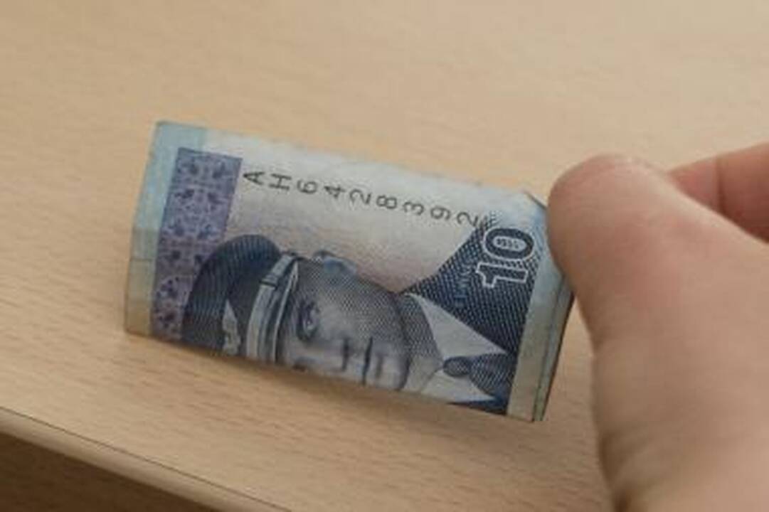 Pusė lietuvių netiki lito devalvavimu 