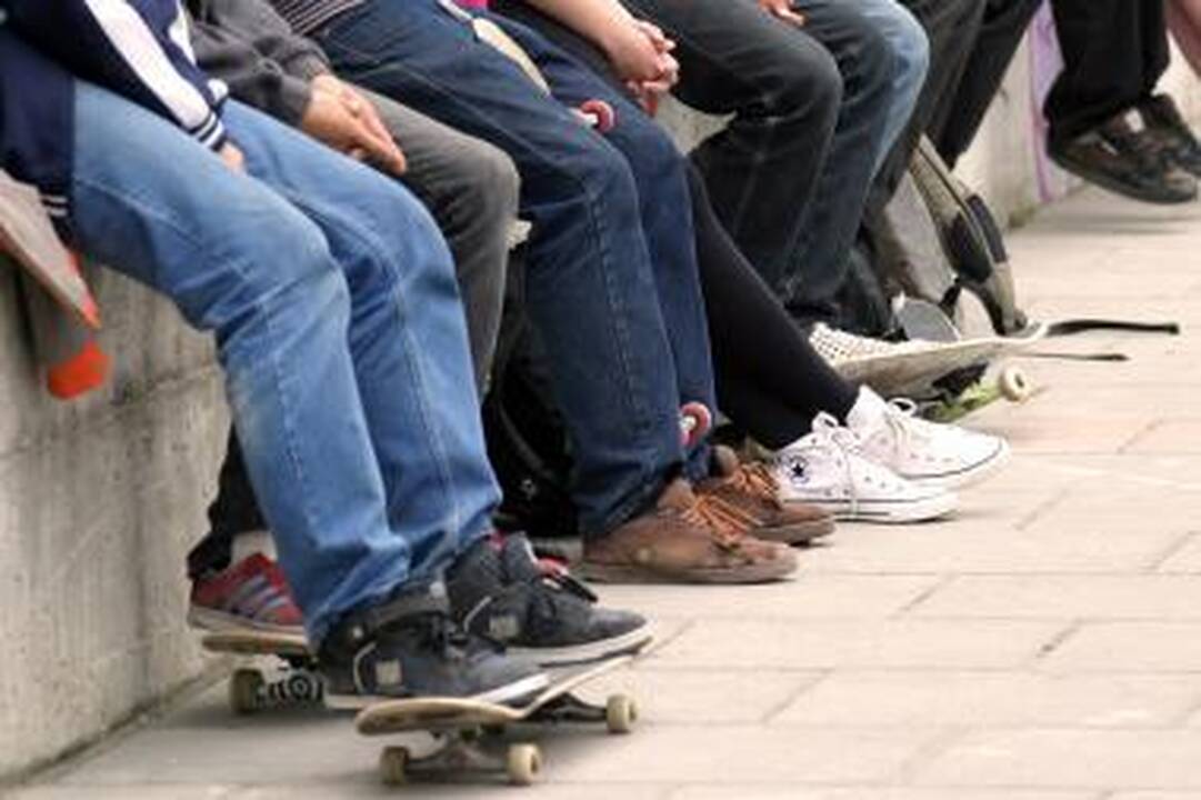 Akcija „Beglobis – 2010” baigėsi: kokie rezultatai?