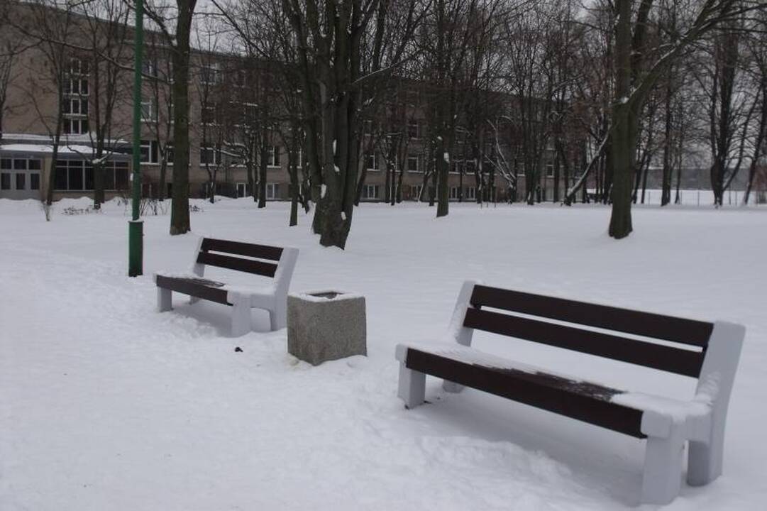 Pagyvenę klaipėdiečiai išsireikalavo suoliukų