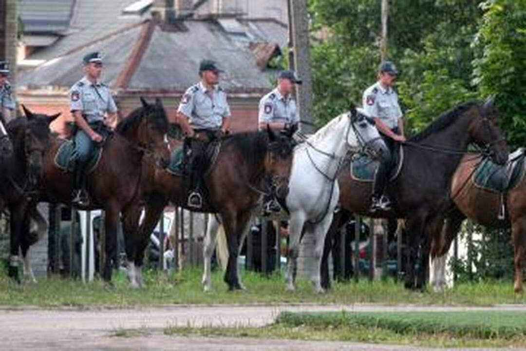 Policijos žirgams trūksta tik raitelių