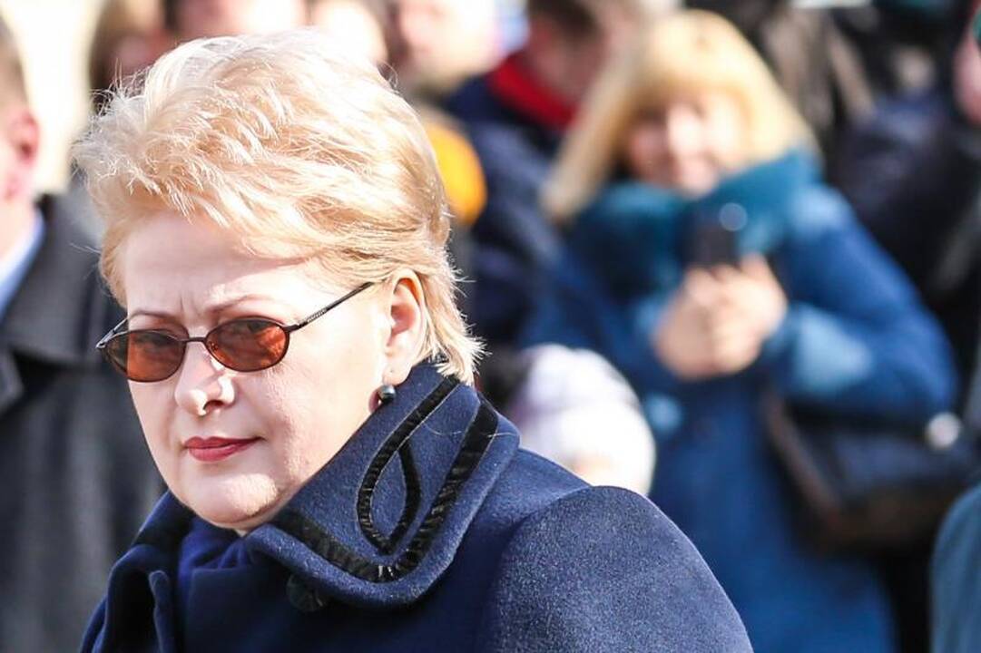 Prezidentė prisiekusiams kariams: turite gyventi ne tik sau