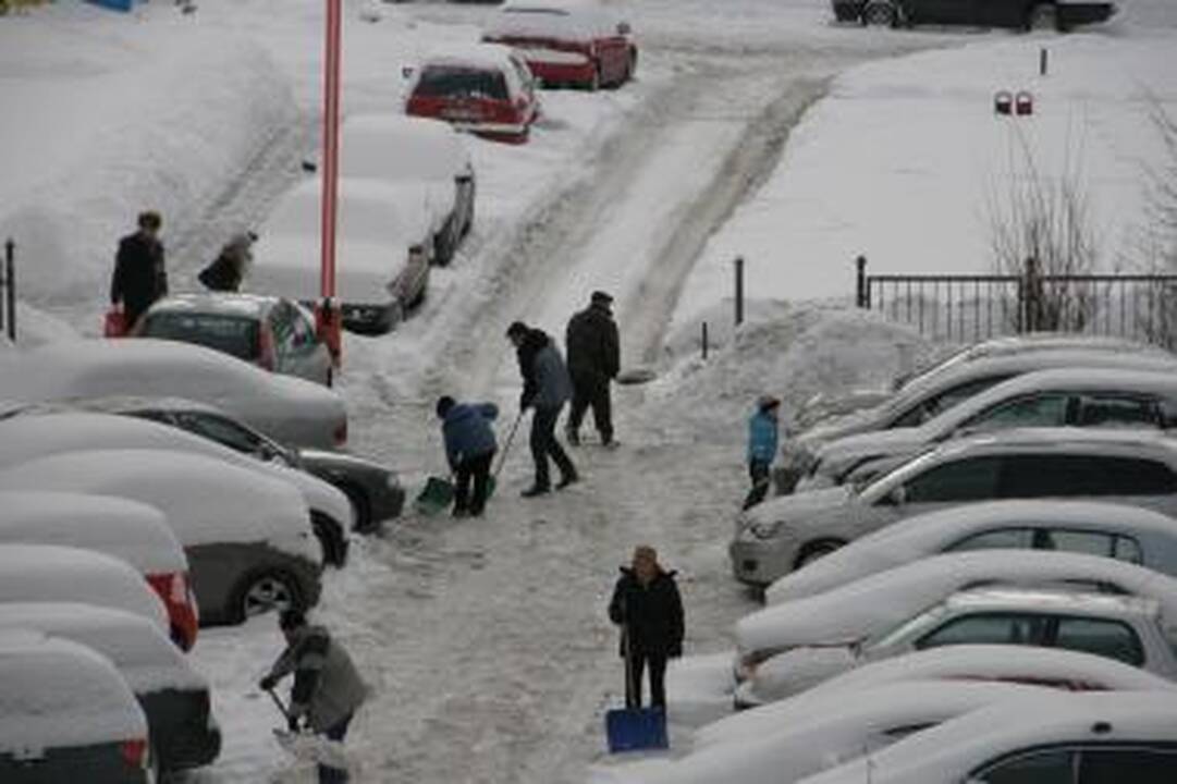 Nurimęs pirmadienis - vilniečiai vėl kiemų valymo talkose  