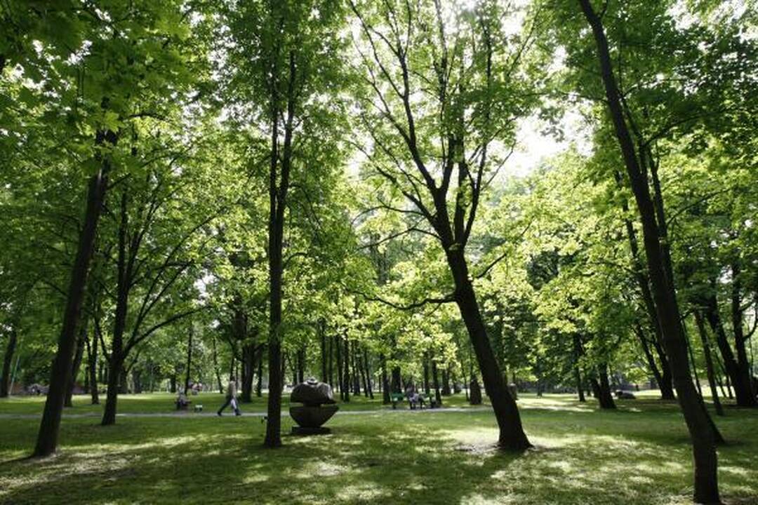 Klaipėdos skulptūrų parke – dėmesys istorijai