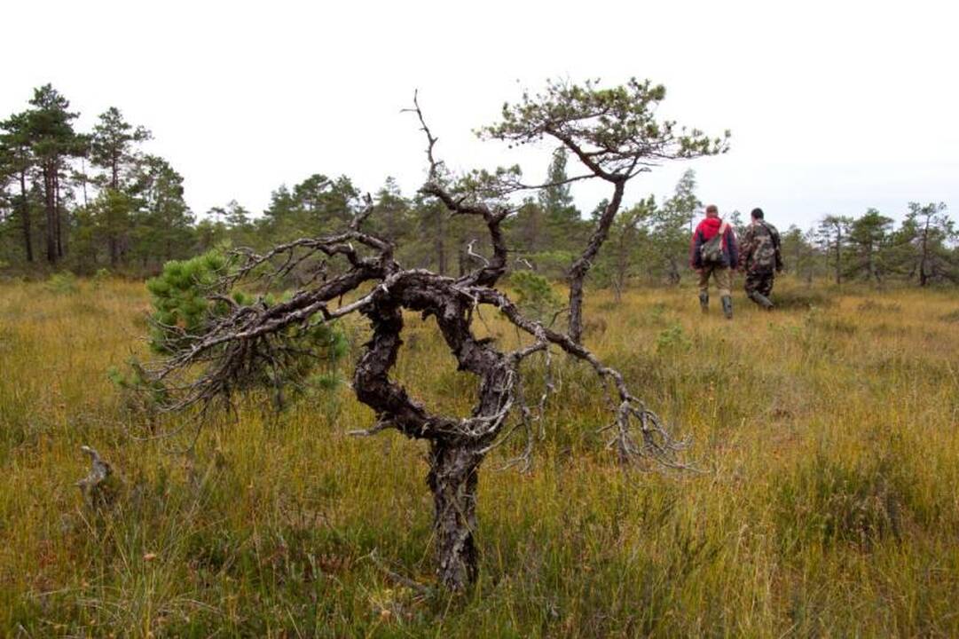 Kelionė po Kamanų valstybinį  gamtinį rezervatą