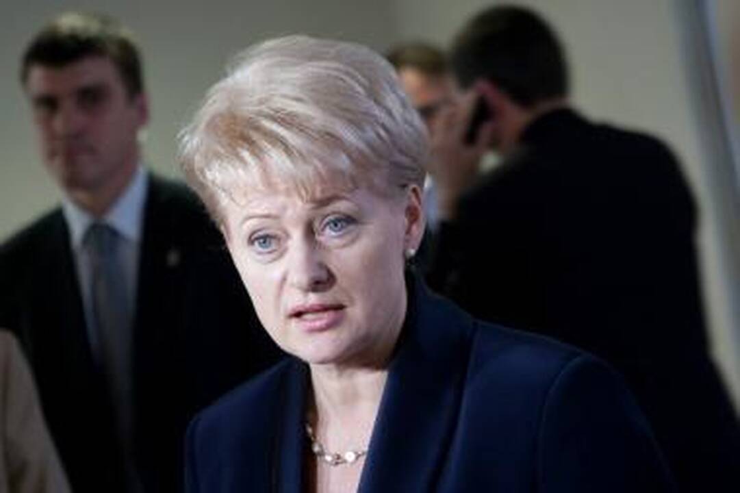D.Grybauskaitė: pensijų kompensavimo tvarka turi būti parengta iki liepos 