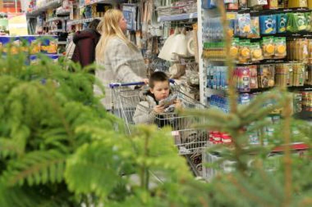 „Maxima" ginasi prekiavusi nekokybiškais žirneliais