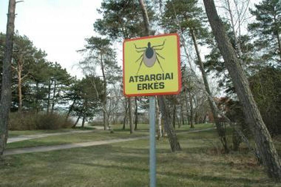 Vilniečiai įspėjami saugotis erkių