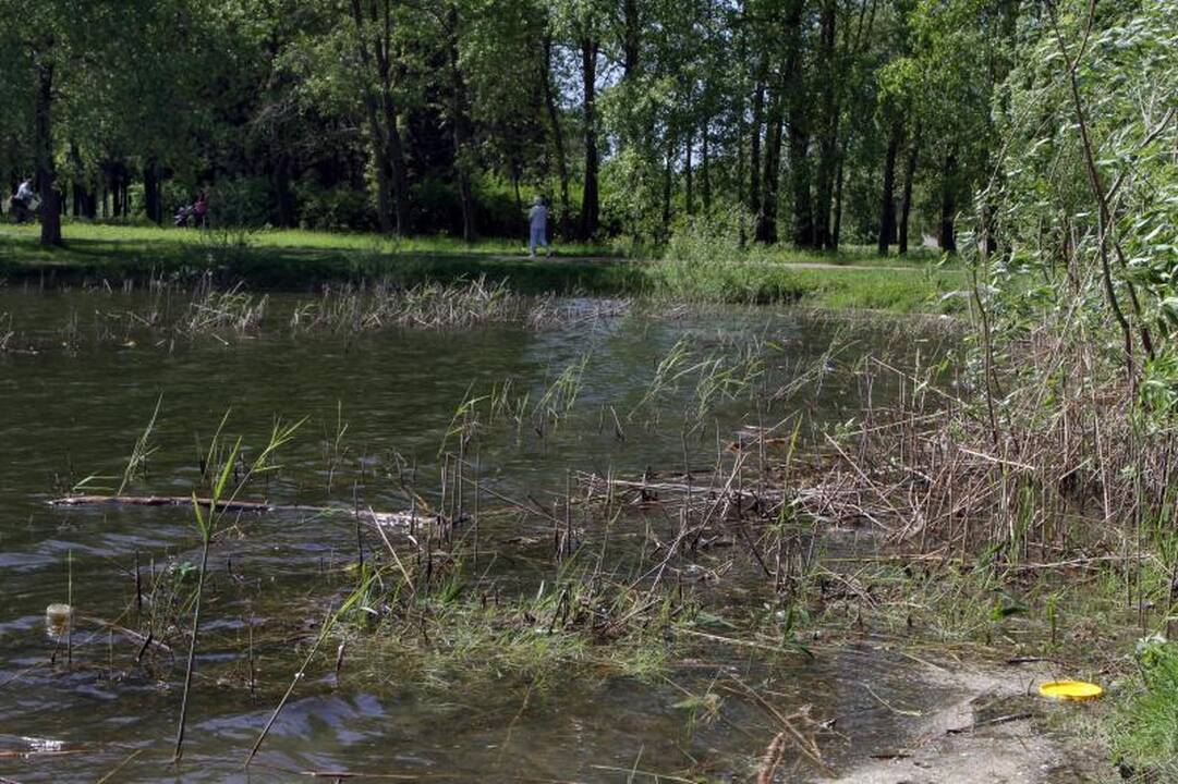 Ukmergės rajone į tvenkinį su šeima įlėkęs vairuotojas buvo apsvaigę nuo narkotikų