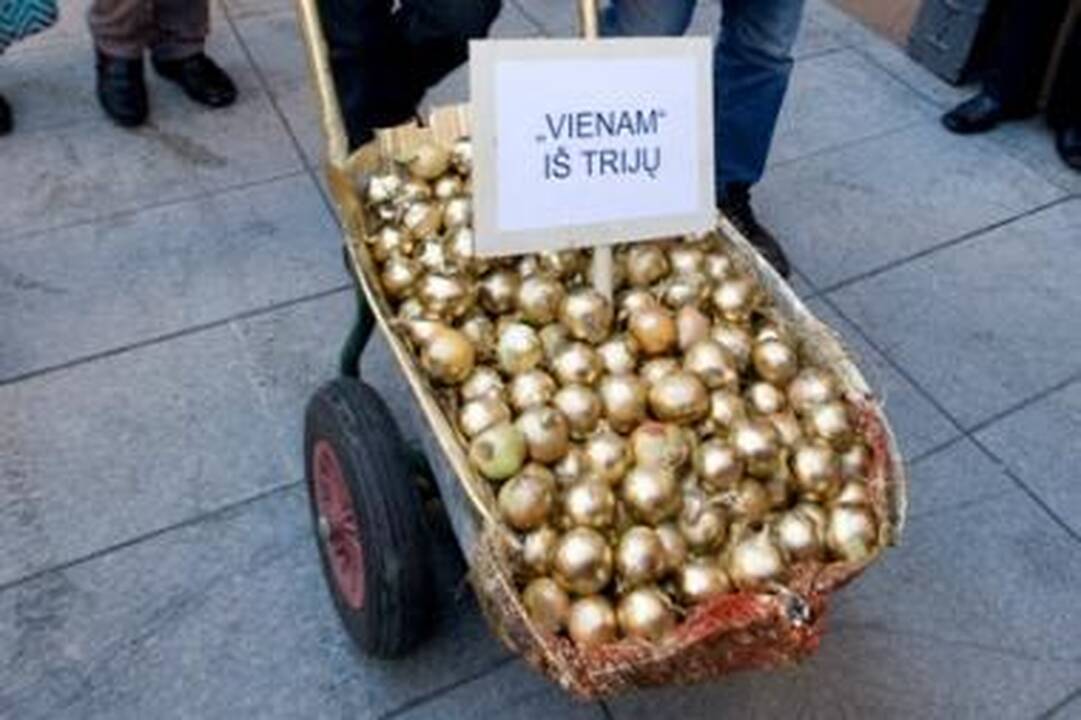 „Svogūnų akcijos“ organizatoriai savo kaltės neįžvelgia