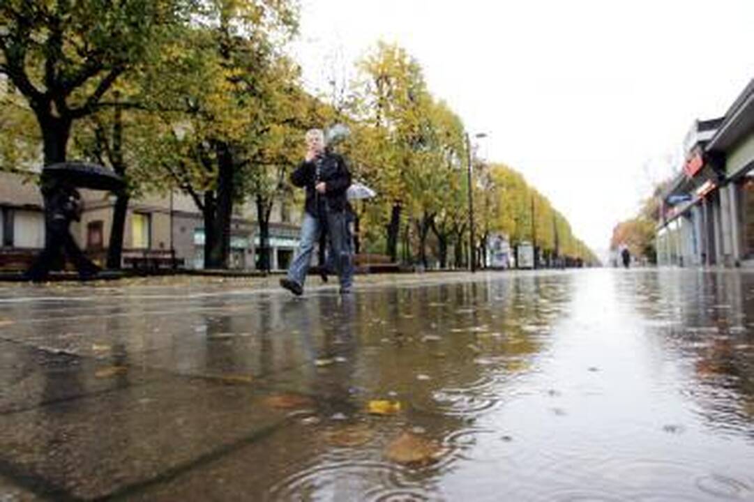 Laisvės alėjoje telkšojo balos