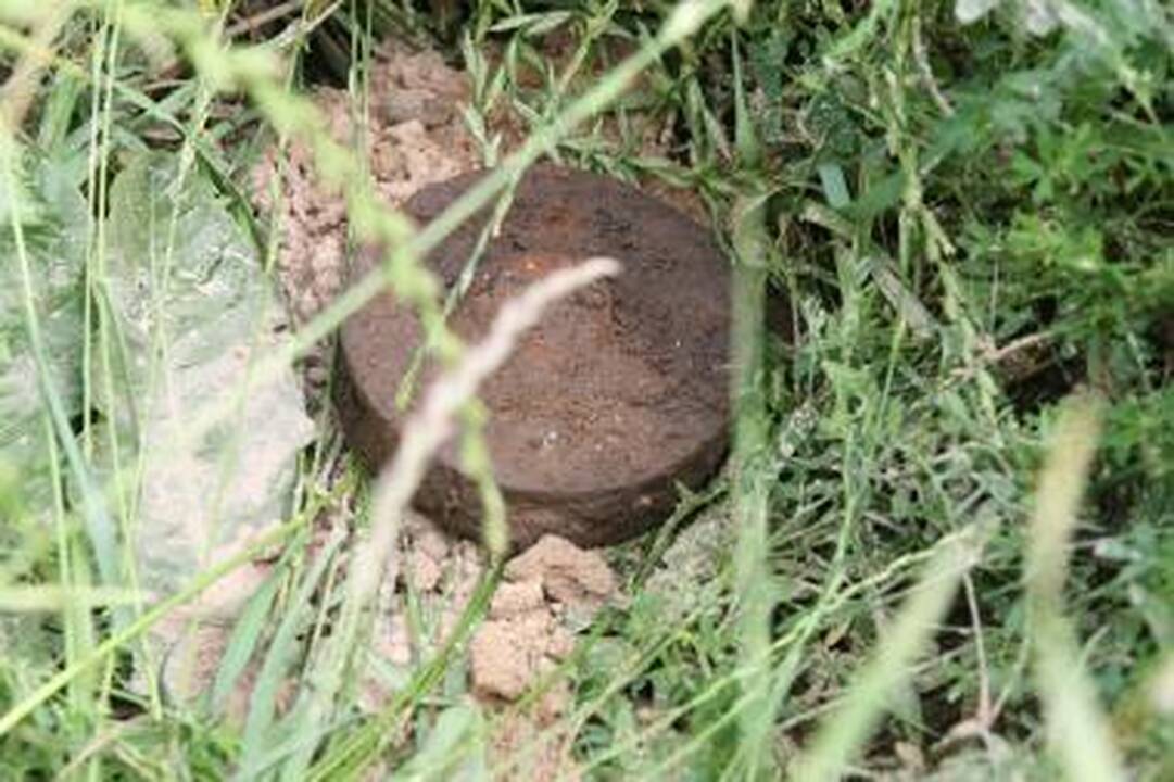 Prie Kauno rastos aštuonios minos