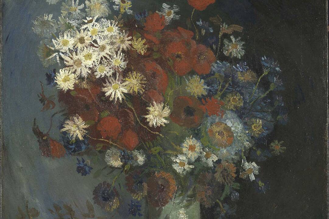 Įsitikino, kad paveikslą nutapė V. van Goghas
