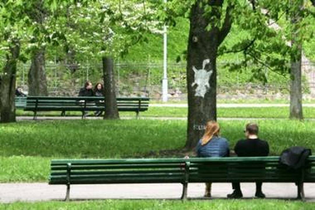 Kultūros sostinę nusiaubė riaušės (video)
