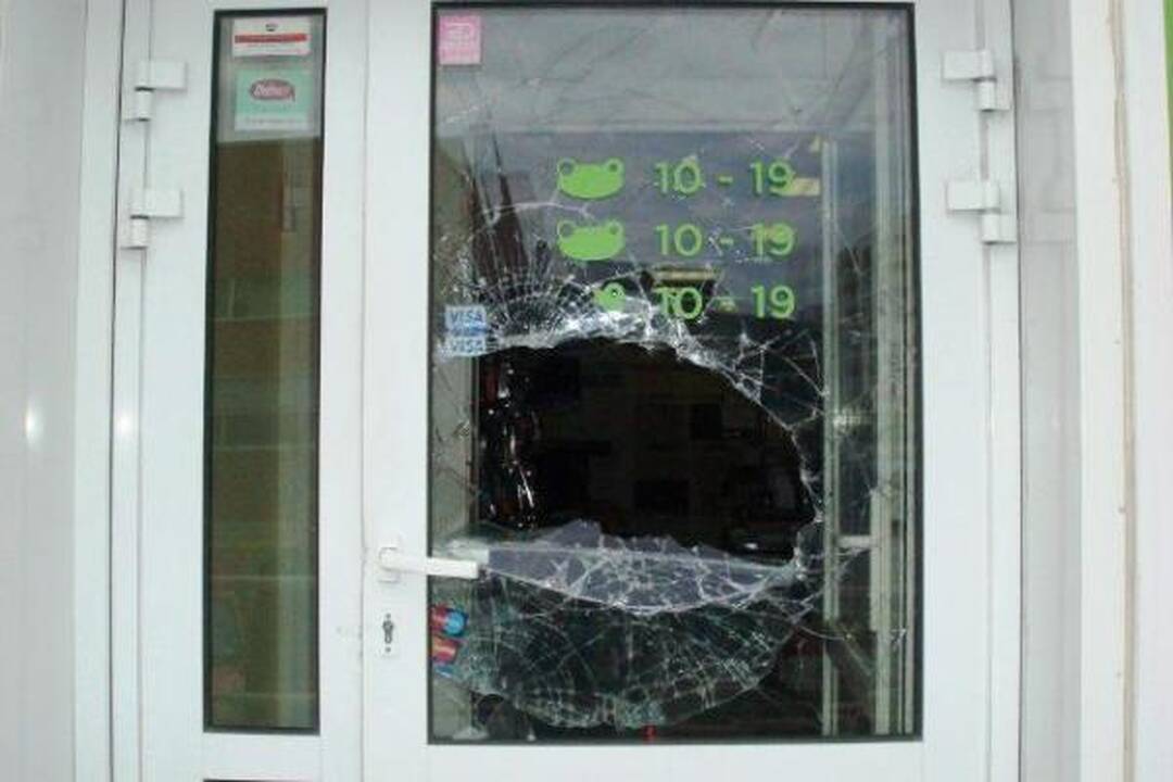 Vilniuje žaibiškai apvogta „Varlė“