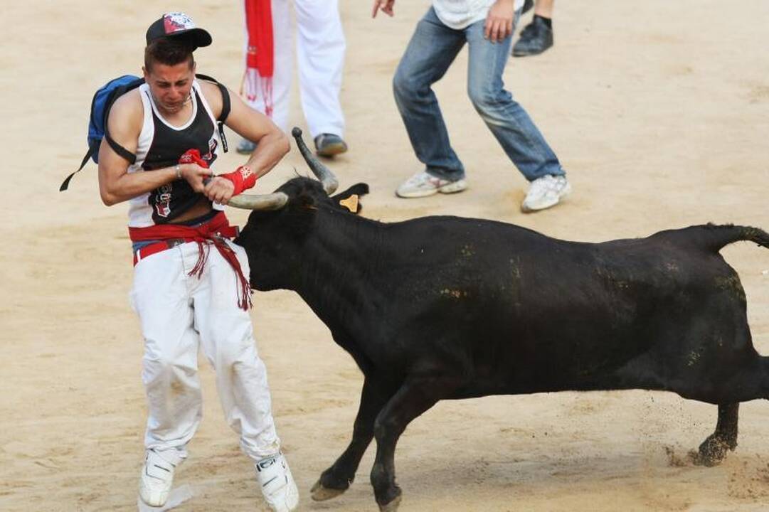 Pamplonoje priešpaskutinės bulių bėgtynes: nukentėjo septyni žmonės