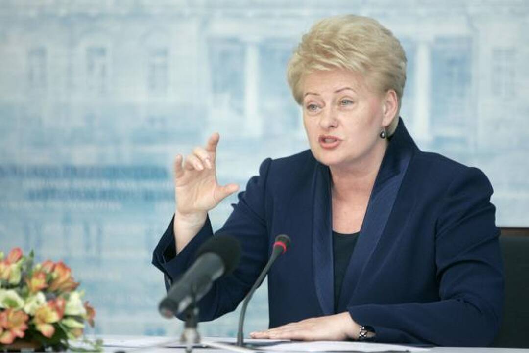 Prezidentė: siekiant energetinio saugumo būtinos jungtys su Lenkija