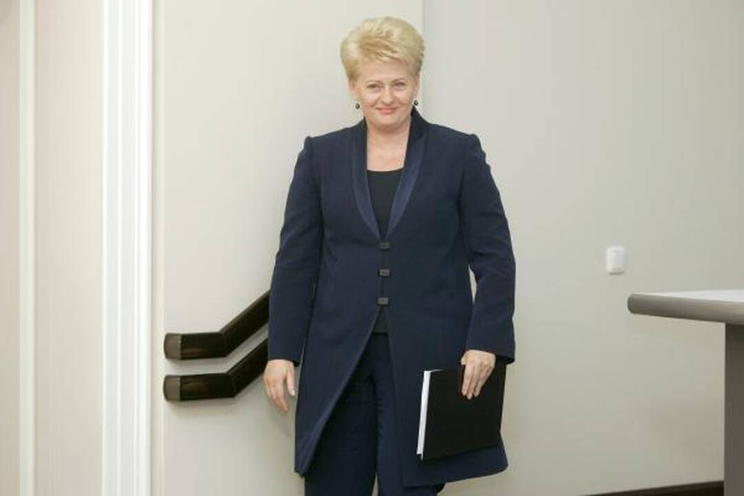 D.Grybauskaitė: užsienio šalių vadovų vizitai į Lietuvą – nebūtini