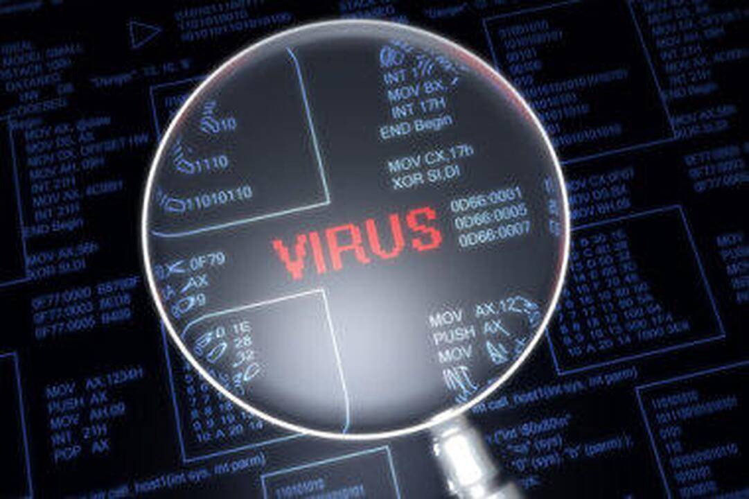 Virusai plinta ir per „Google“