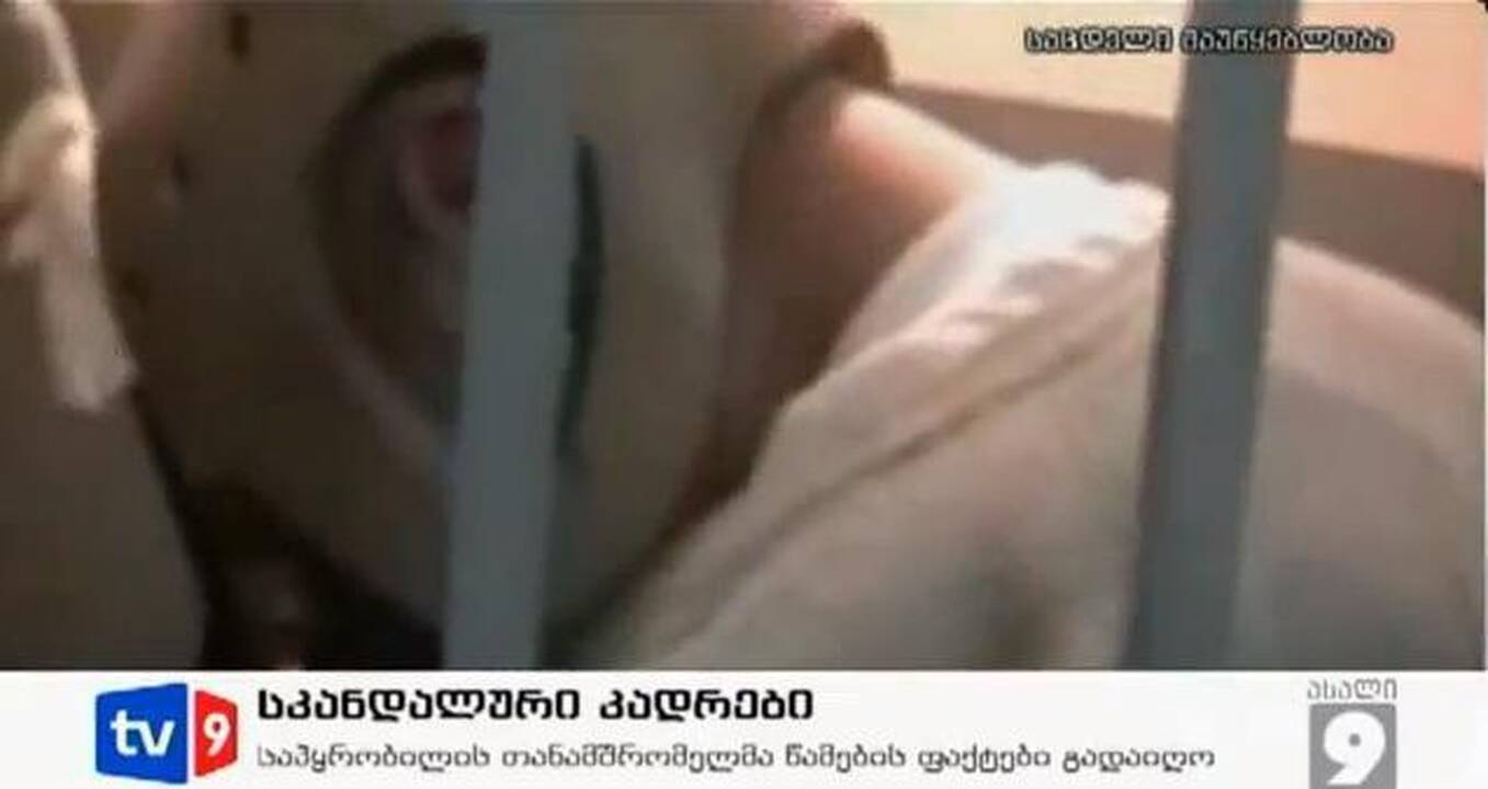 Pėstininkams pateikti kaltinimai dėl šlapinimosi ant talibų lavonų